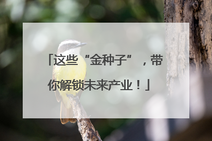 这些“金种子”，带你解锁未来产业！