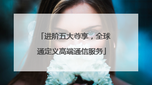 进阶五大尊享，全球通定义高端通信服务