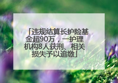 违规结算长护险基金超90万，一护理机构8人获刑、相关损失予以追缴
