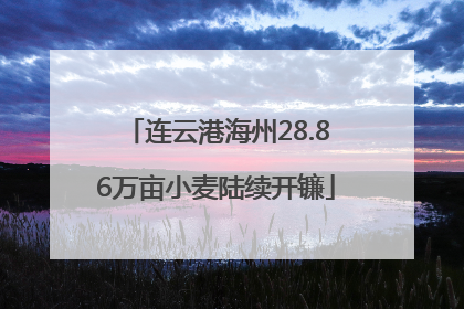 连云港海州28.86万亩小麦陆续开镰