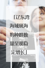 辽东湾海域斑海豹种群数量呈现稳定增长