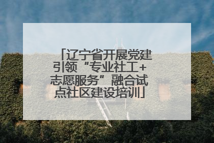 辽宁省开展党建引领“专业社工+志愿服务”融合试点社区建设培训