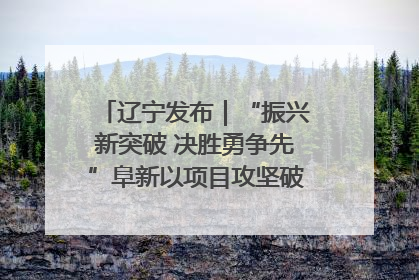 辽宁发布｜“振兴新突破 决胜勇争先”阜新以项目攻坚破解发展瓶颈 经济发展实现良好开局