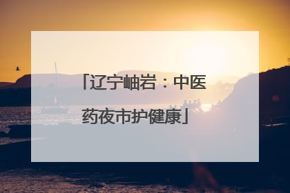 辽宁岫岩：中医药夜市护健康