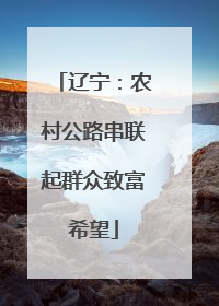 辽宁：农村公路串联起群众致富希望