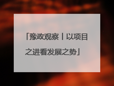豫政观察丨以项目之进看发展之势