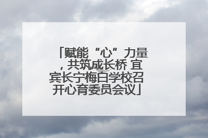 赋能“心”力量，共筑成长桥 宜宾长宁梅白学校召开心育委员会议