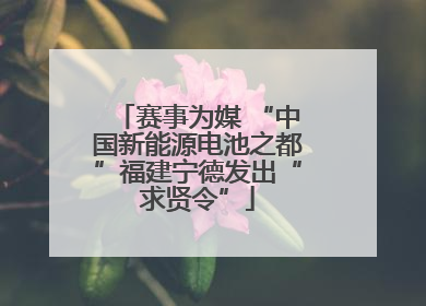 赛事为媒 “中国新能源电池之都”福建宁德发出“求贤令”