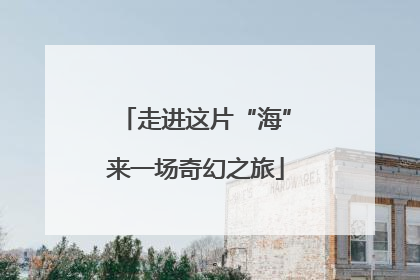 走进这片“海”来一场奇幻之旅