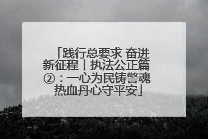 践行总要求 奋进新征程丨执法公正篇②：一心为民铸警魂 热血丹心守平安