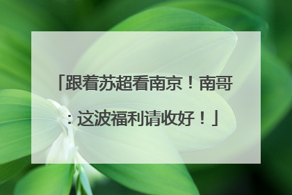 跟着苏超看南京！南哥：这波福利请收好！