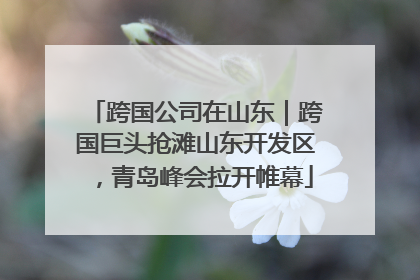跨国公司在山东｜跨国巨头抢滩山东开发区，青岛峰会拉开帷幕