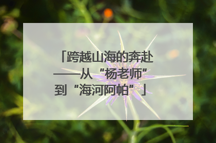 跨越山海的奔赴——从“杨老师”到“海河阿帕”