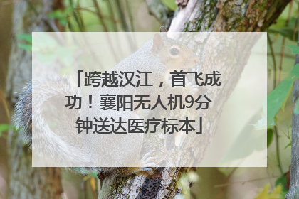 跨越汉江，首飞成功！襄阳无人机9分钟送达医疗标本