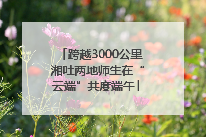 跨越3000公里 湘吐两地师生在“云端”共度端午
