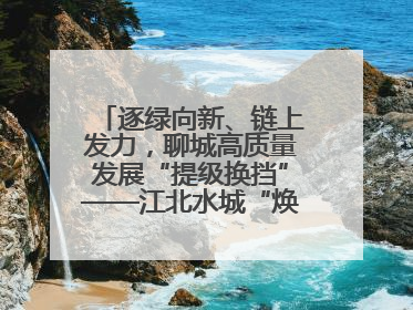 逐绿向新、链上发力，聊城高质量发展“提级换挡”——江北水城“焕新”记