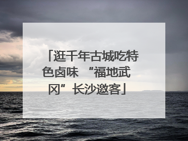 逛千年古城吃特色卤味 “福地武冈”长沙邀客