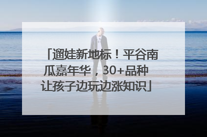 遛娃新地标！平谷南瓜嘉年华，30+品种让孩子边玩边涨知识