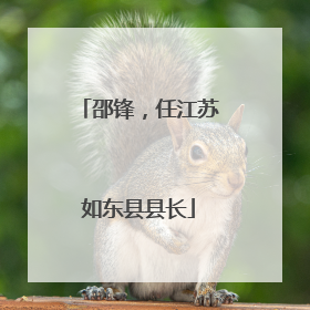 邵锋，任江苏如东县县长