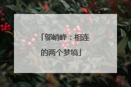 邬峭峰：相连的两个梦境