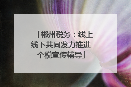 郴州税务：线上线下共同发力推进个税宣传辅导
