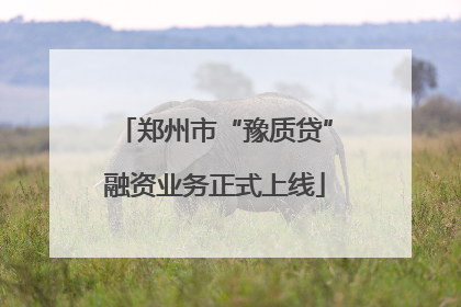郑州市“豫质贷”融资业务正式上线