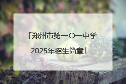 郑州市第一〇一中学2025年招生简章