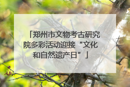 郑州市文物考古研究院多彩活动迎接“文化和自然遗产日”