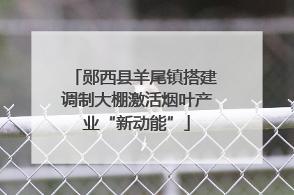 郧西县羊尾镇搭建调制大棚激活烟叶产业“新动能”