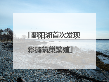 鄱阳湖首次发现彩鹮筑巢繁殖