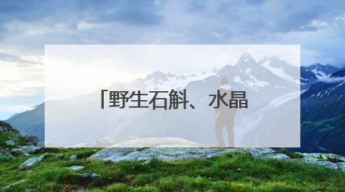 野生石斛、水晶兰，云南这个自然保护区发现2种珍稀野生植物
