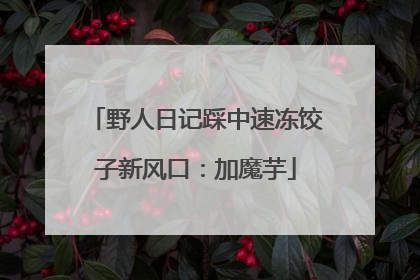 野人日记踩中速冻饺子新风口：加魔芋