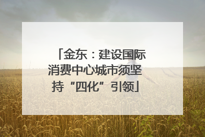 金东：建设国际消费中心城市须坚持“四化”引领