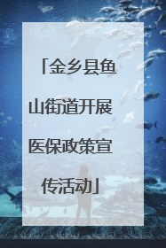 金乡县鱼山街道开展医保政策宣传活动