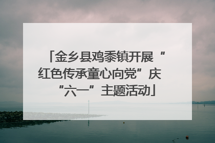 金乡县鸡黍镇开展“红色传承童心向党”庆“六一”主题活动