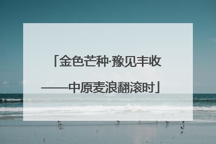 金色芒种·豫见丰收——中原麦浪翻滚时