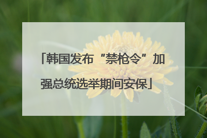 韩国发布“禁枪令”加强总统选举期间安保