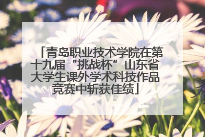 青岛职业技术学院在第十九届“挑战杯”山东省大学生课外学术科技作品竞赛中斩获佳绩