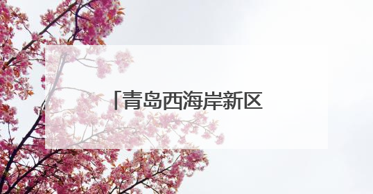 青岛西海岸新区黄岛街道人大工委组织开展辖区教育发展调研活动
