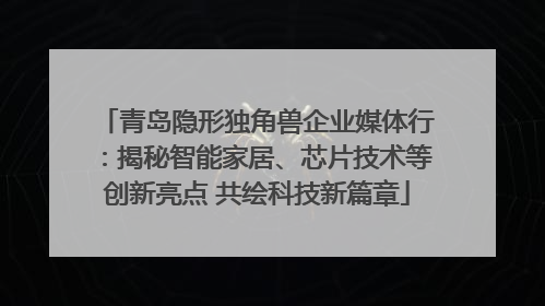 青岛隐形独角兽企业媒体行：揭秘智能家居、芯片技术等创新亮点 共绘科技新篇章