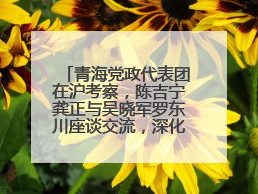 青海党政代表团在沪考察，陈吉宁龚正与吴晓军罗东川座谈交流，深化合作对接
