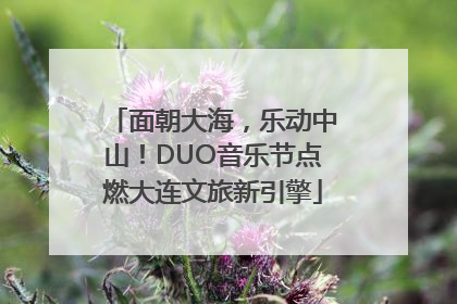 面朝大海，乐动中山！DUO音乐节点燃大连文旅新引擎