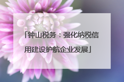 钟山税务：强化纳税信用建设护航企业发展