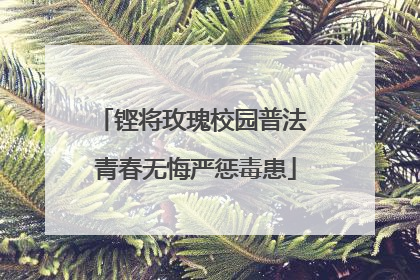 铿将玫瑰校园普法 青春无悔严惩毒患