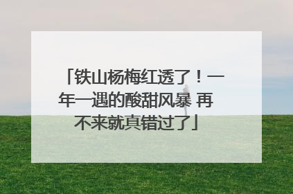铁山杨梅红透了！一年一遇的酸甜风暴 再不来就真错过了