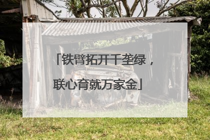 铁臂拓开千垄绿，联心育就万家金