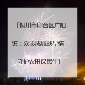 铜川市印台区广阳镇：众志成城战旱情 守护农田保民生