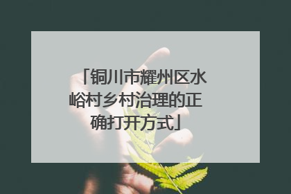铜川市耀州区水峪村乡村治理的正确打开方式