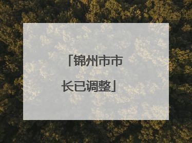 锦州市市长已调整