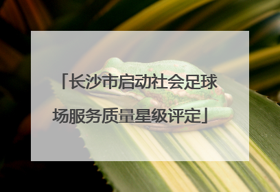 长沙市启动社会足球场服务质量星级评定